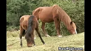 Gay XXX 18